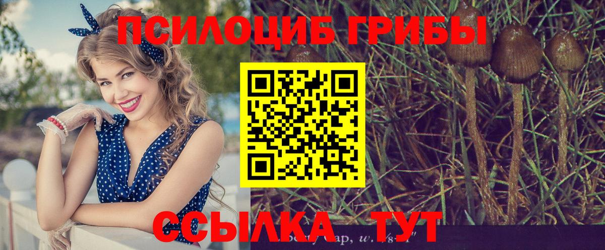 Зеленокумск  Псилоцибиновые грибы MAGIC MUSHROOMS  Вход с VPN 